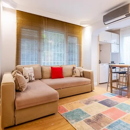 Vibrant Flat Close To Zorlu *